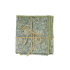 Set of 2 Table Mats - Arushi Blue Green