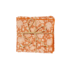 Set of 2 Table Mats - Arushi Pumpkin