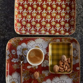 Plateau Guest - Vishnu Squirrel