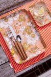Tray Aperol - Vishnu Terracotta