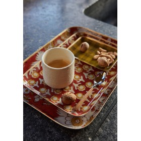 Plateau Guest - Vishnu Squirrel