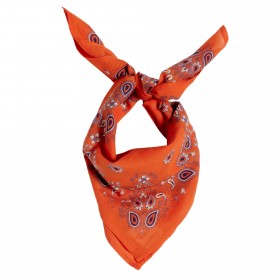 Indian Scarf Kid - Bandana Clementine