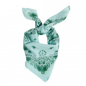 Foulard Indien Enfant - Bandana Vert d'eau