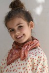 Petit Foulard Indien - Meera Terracotta