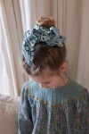 Small Indian Scarf - Awisha Blue Green