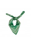 Foulard Indien Enfant - Leopold Basilic
