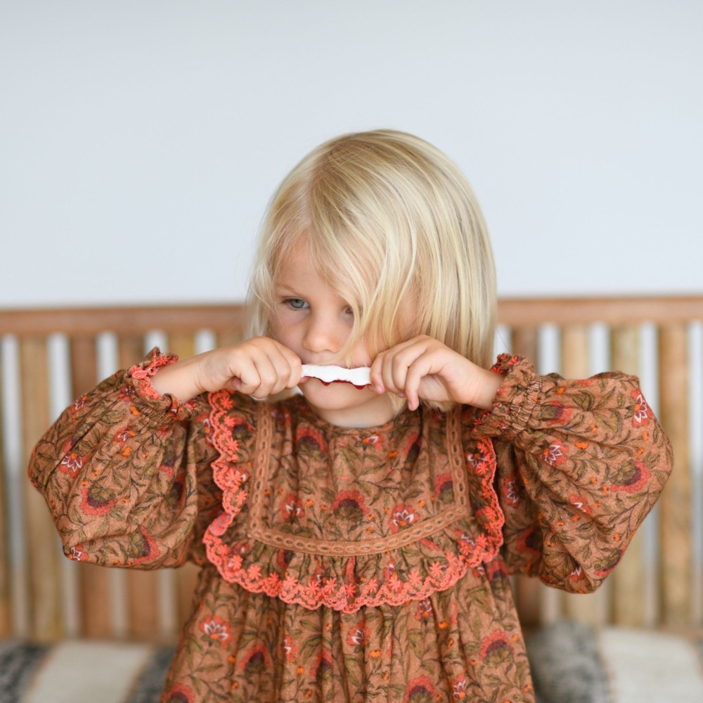 Robe fleurie volant brodé Nori Flowers bois de rose
