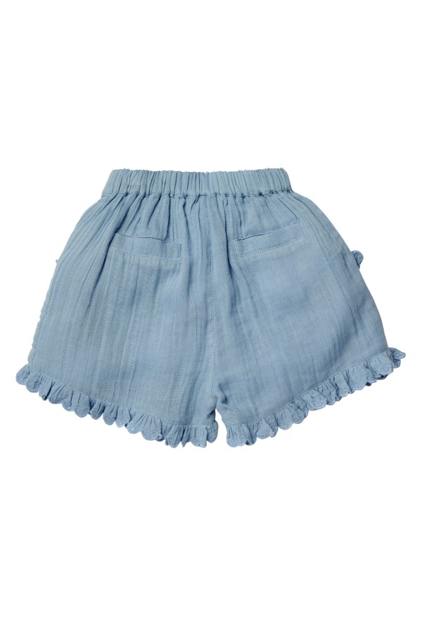 Short MALICIA