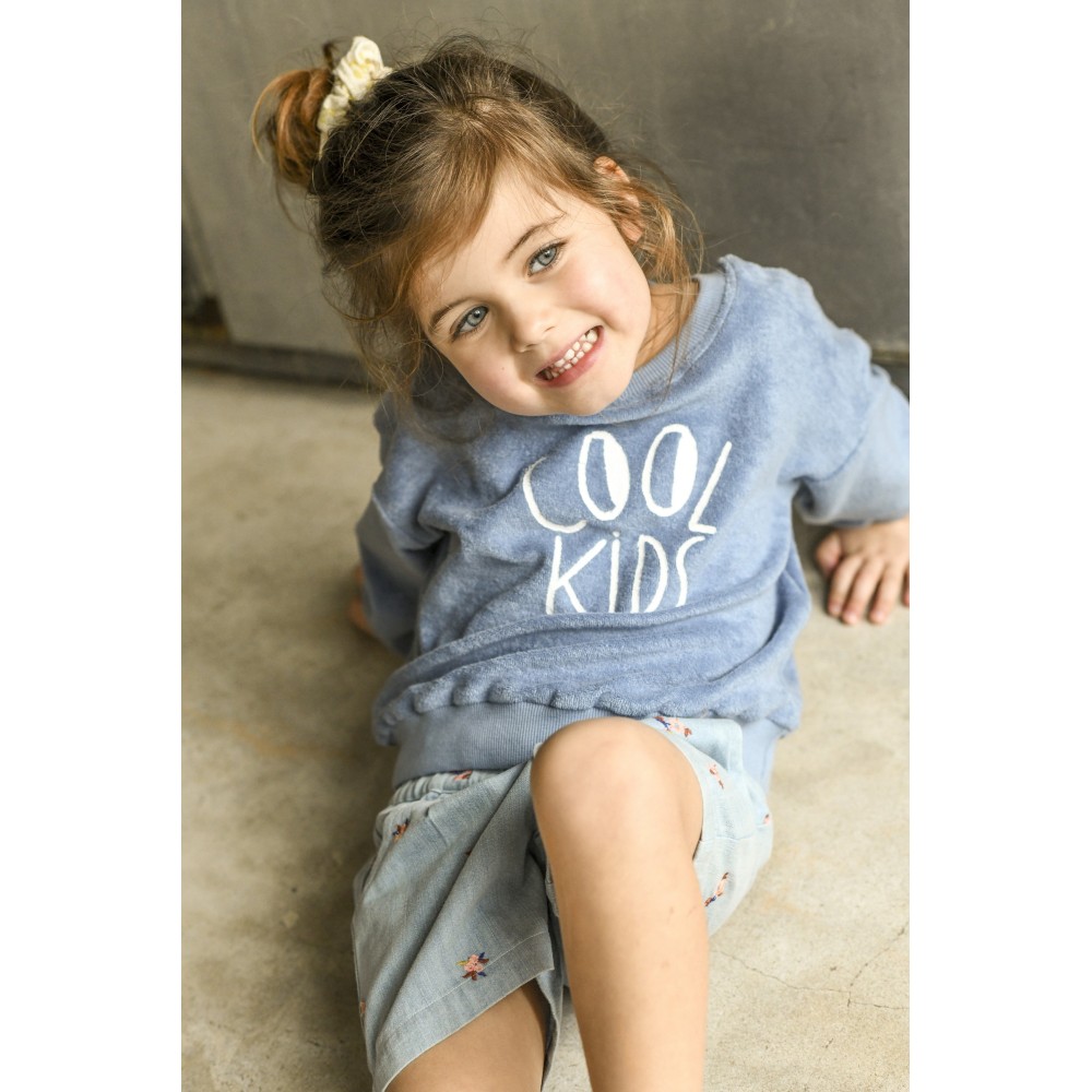 Blue organic coton sweater Cool Kids