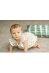 ELEA overall