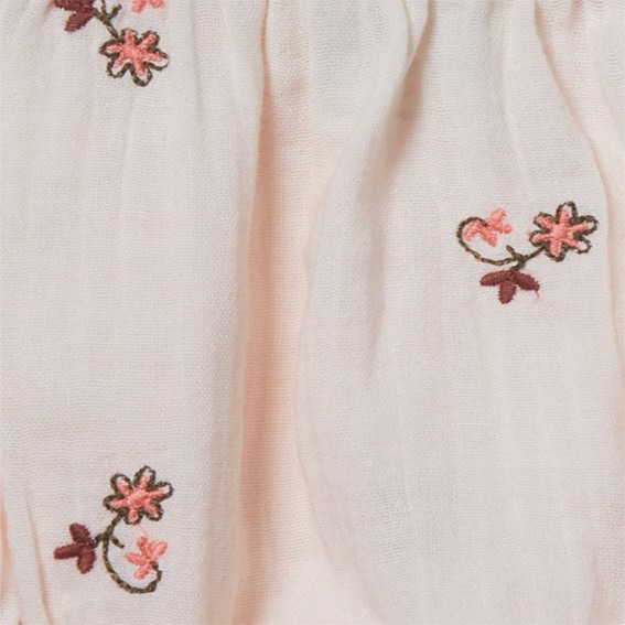 Rose fleuris